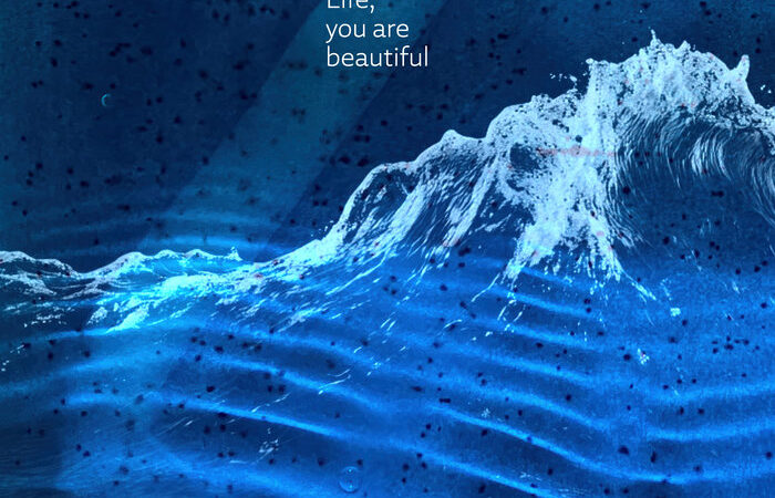 Cover: Kristina Fuchs & Jeroen van Vliet / Life, you are beautiful