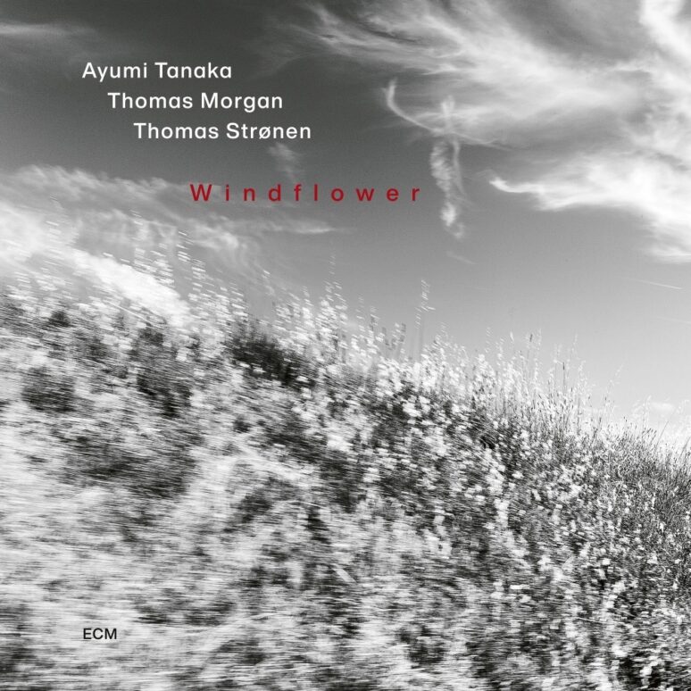 Ayumi Tanaka – Windflower (ECM 2859)